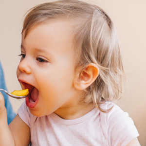 Toddler Meals & Recipes